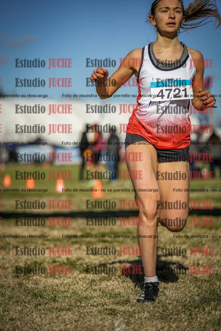 Fotos de las llegadas
