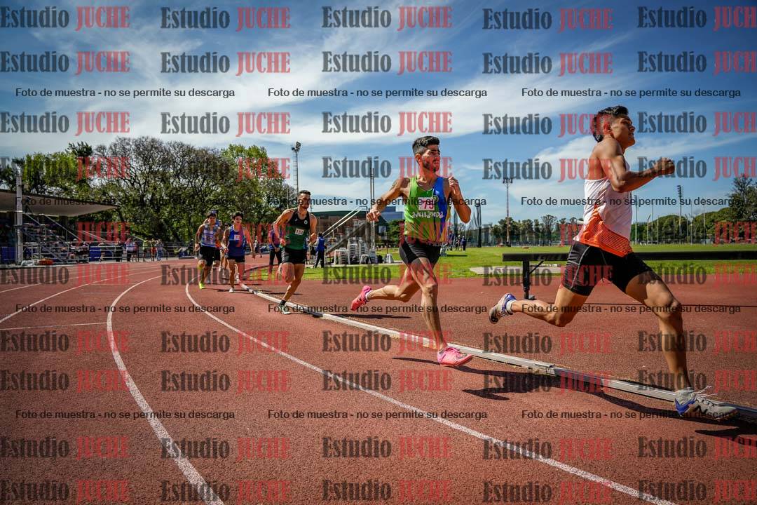 Fotos de los 800 m llanos de varones
