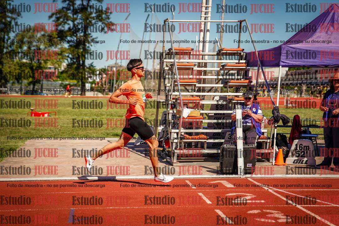 Fotos de los 800 m llanos de varones