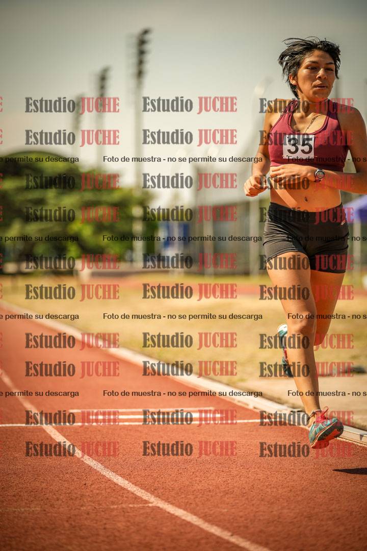 Fotos de los 800 m llanos de mujeres