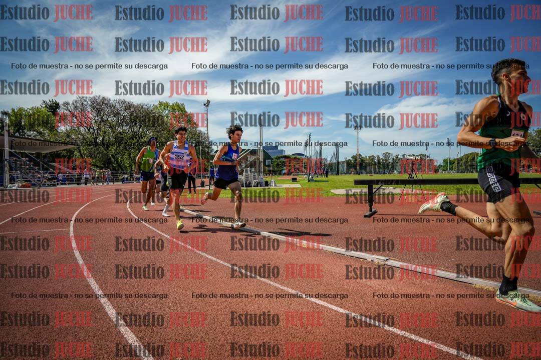 Fotos de los 800 m llanos de varones