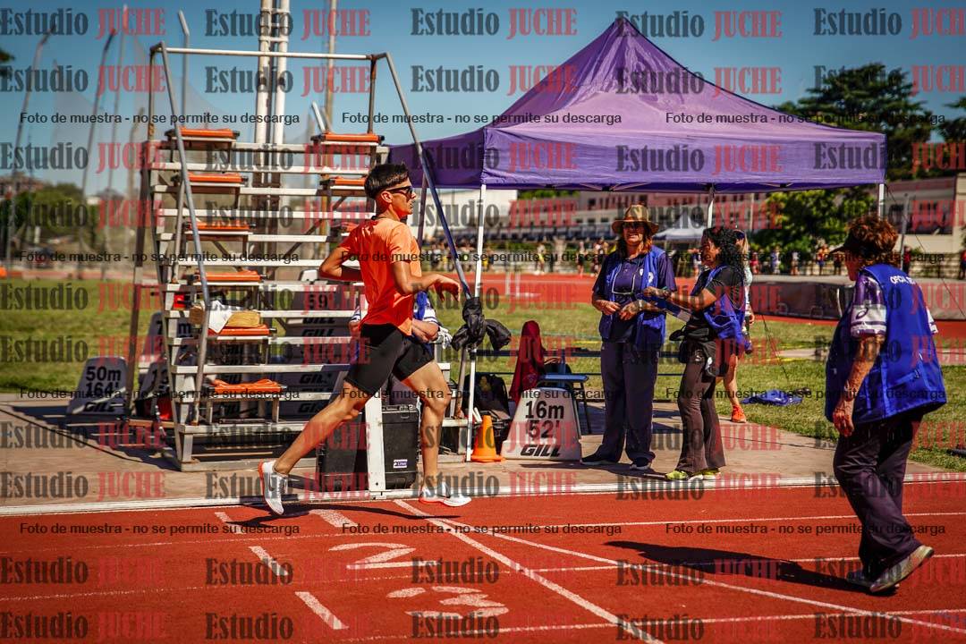 Fotos de los 800 m llanos de varones