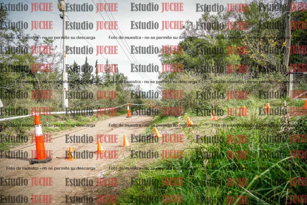 Fotos en el circuito