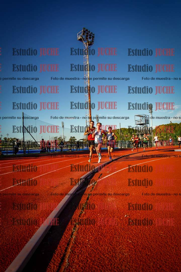 Fotos de los 3000 m llanos de varones
