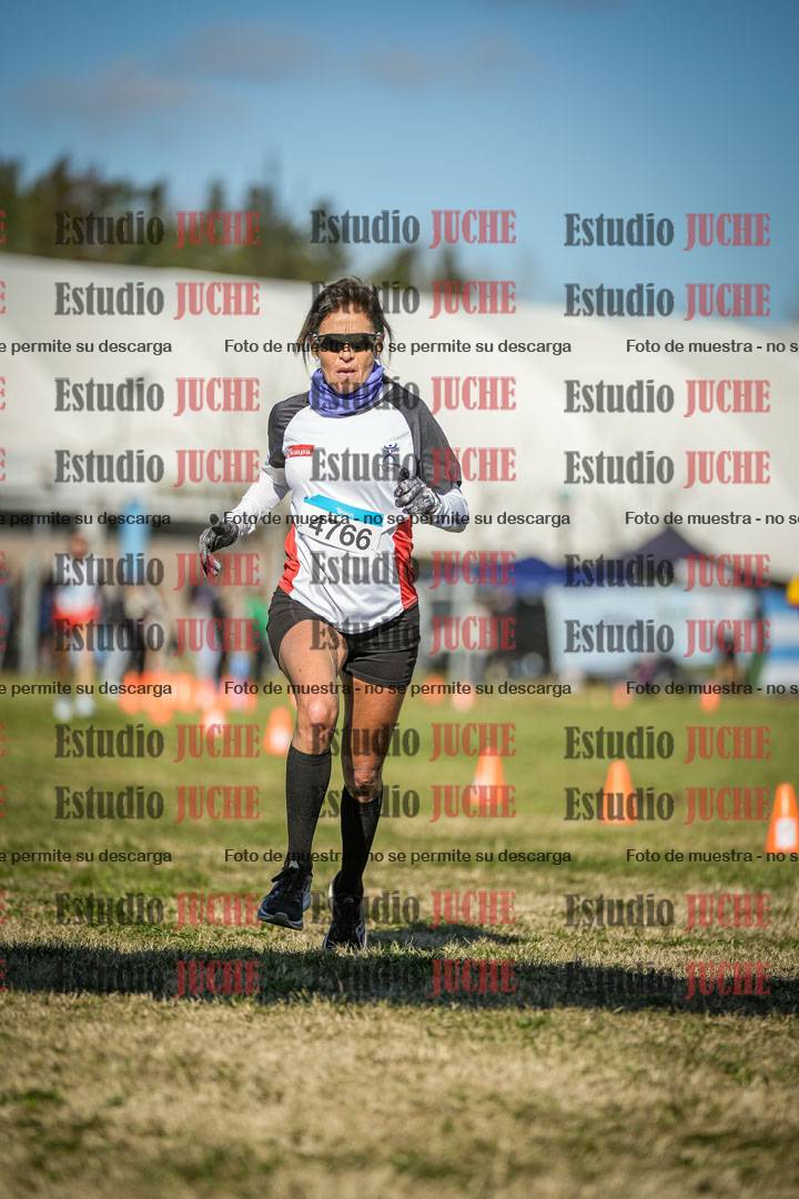 Fotos de las llegadas
