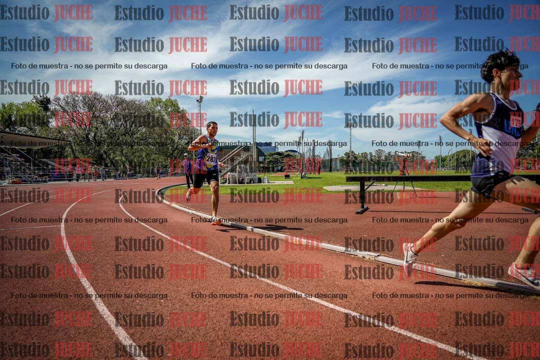 Fotos de los 800 m llanos de varones
