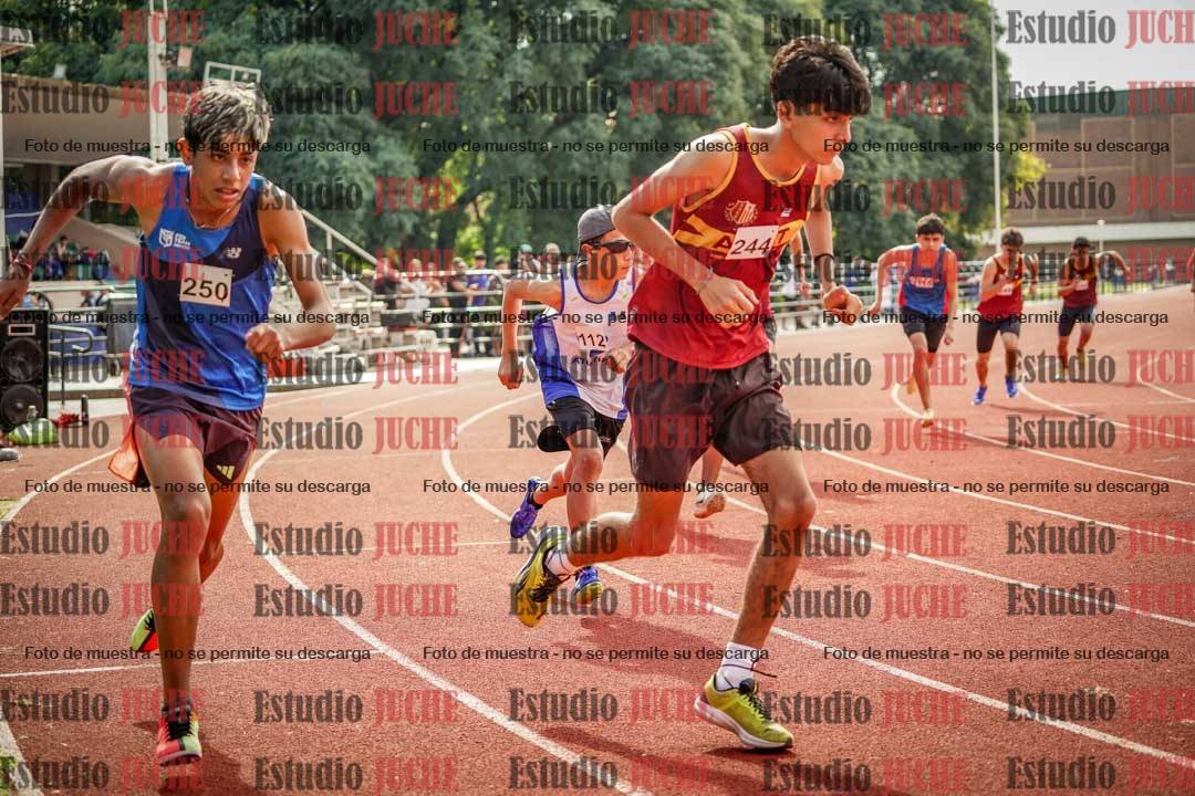 Fotos de los 800 m llanos de varones