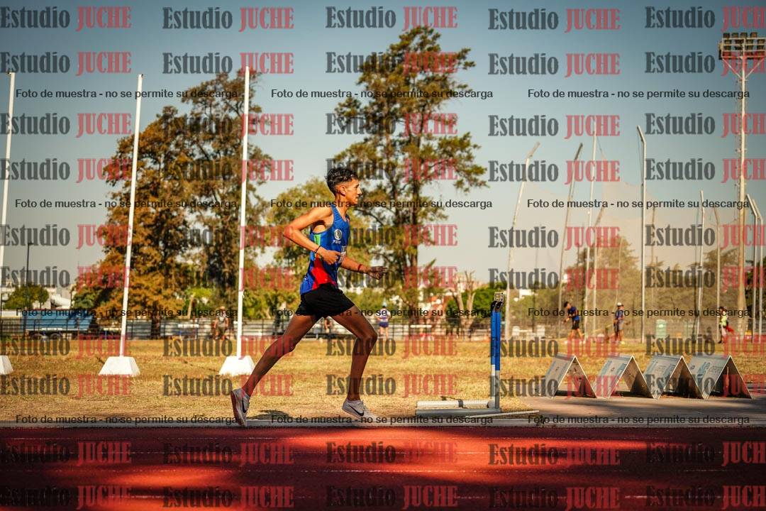Fotos de los 800 m llanos de varones