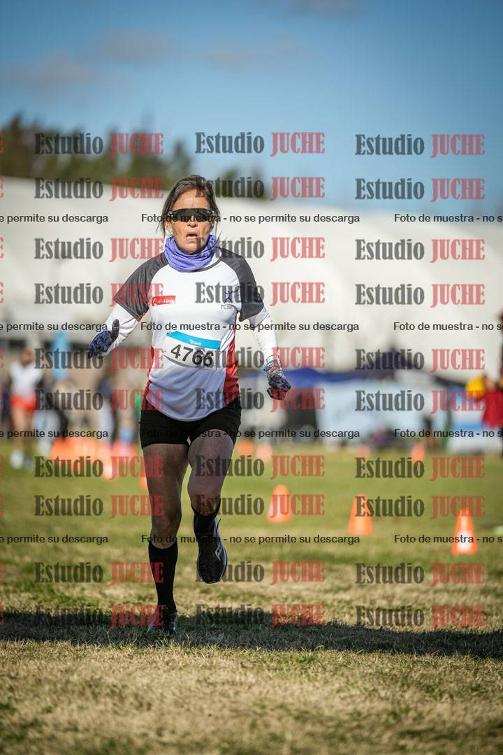 Fotos de las llegadas