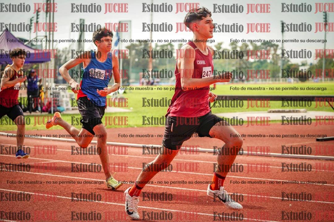 Fotos de los 800 m llanos de varones
