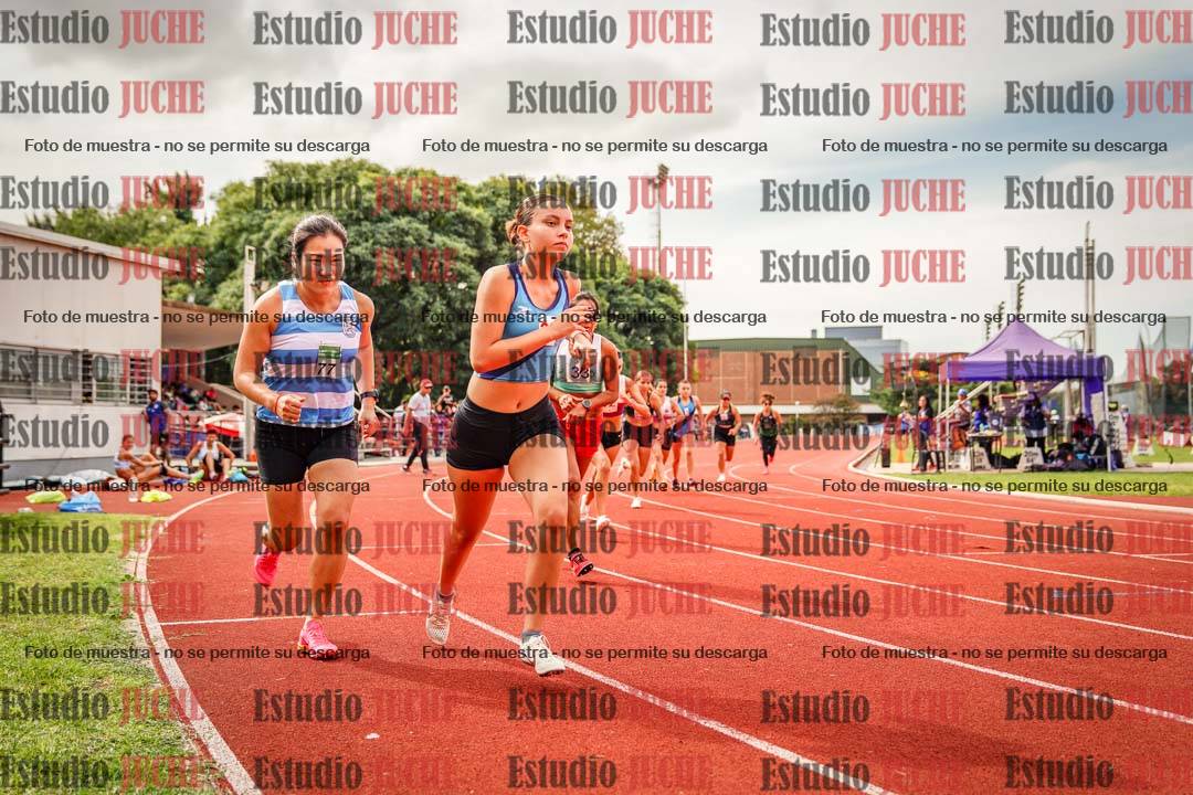 Fotos de los 800 m de mujeres
