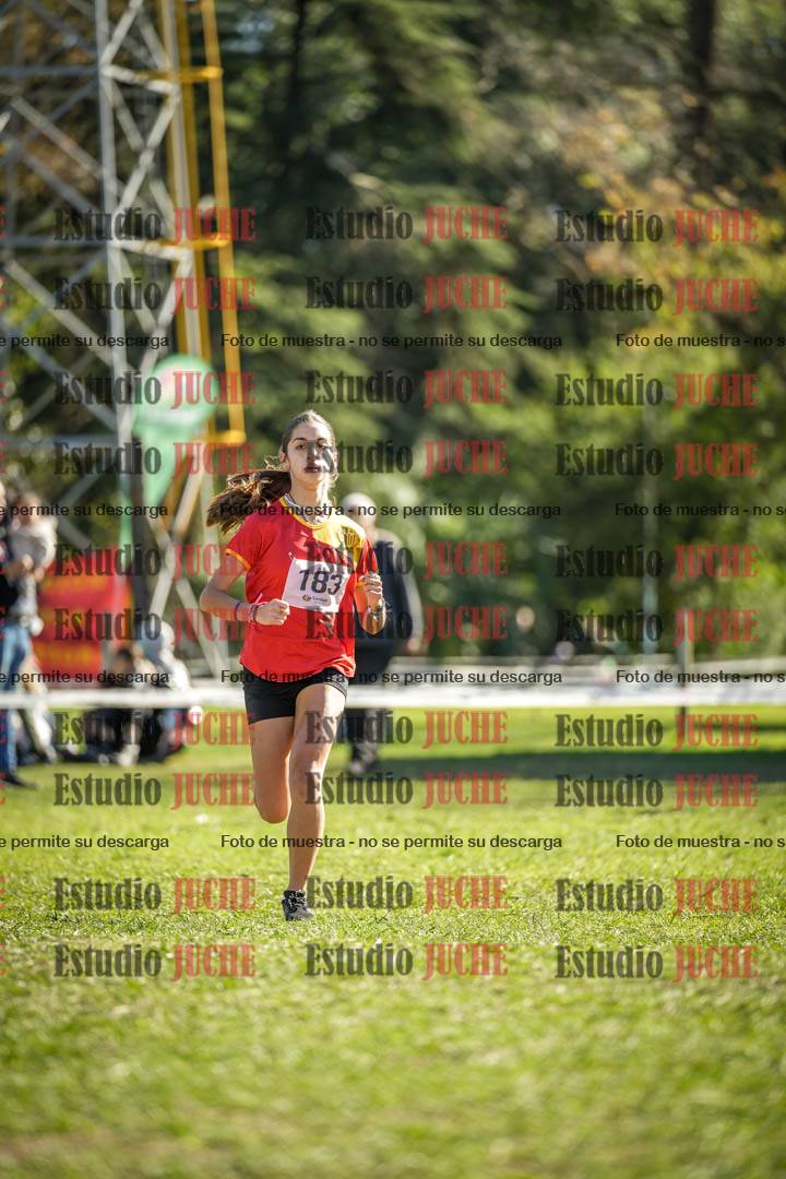 Fotos de la llegada del cross de 2000 m