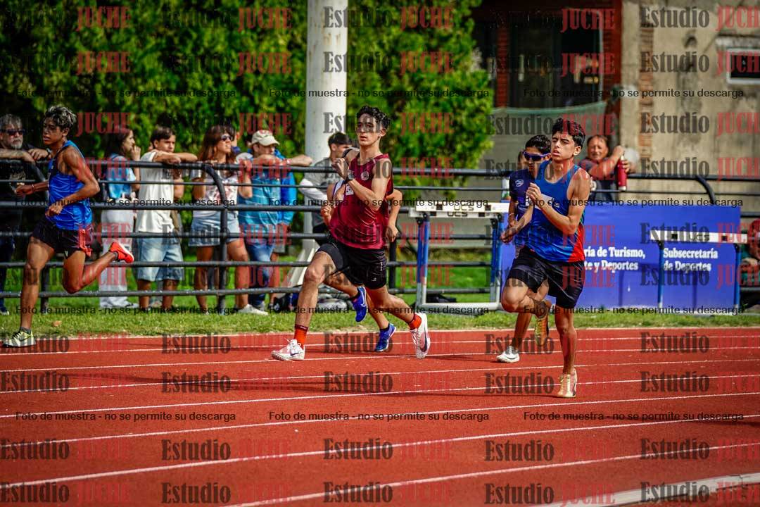 Fotos de los 800 m llanos de varones