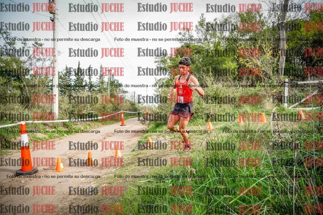 Fotos en el circuito