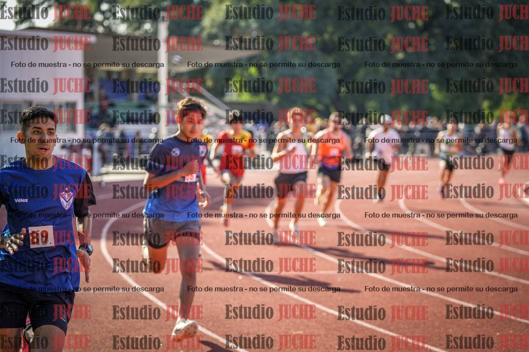 Fotos de los 800 m llanos de varones