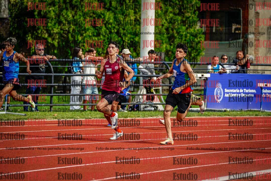 Fotos de los 800 m llanos de varones