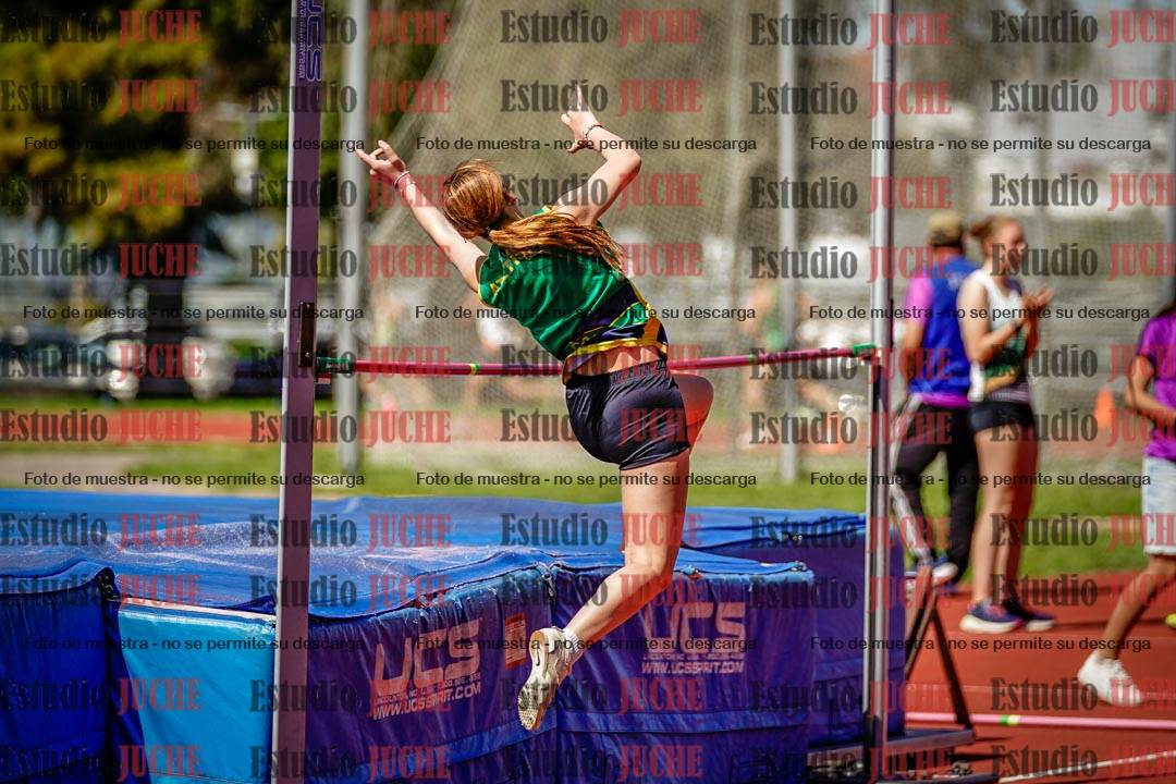 Fotos del salto en alto