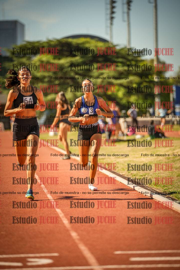 Fotos de los 800 m llanos de mujeres