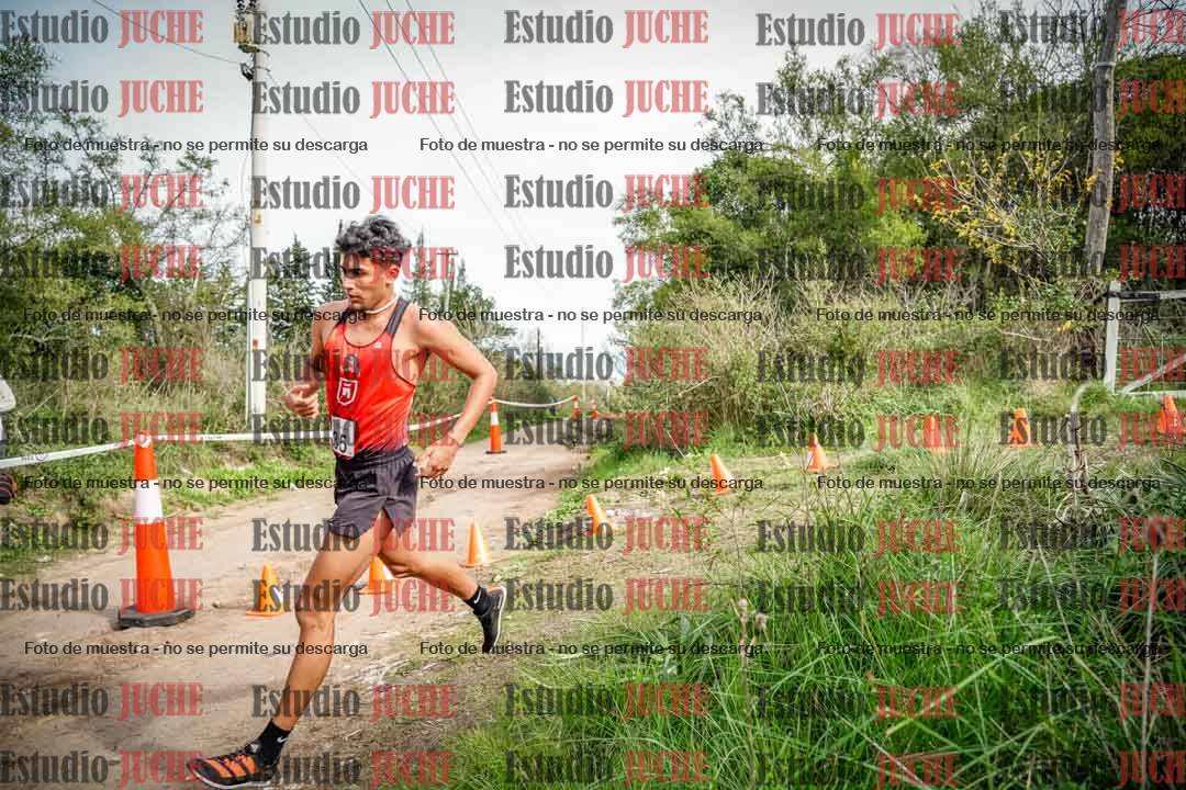 Fotos en el circuito