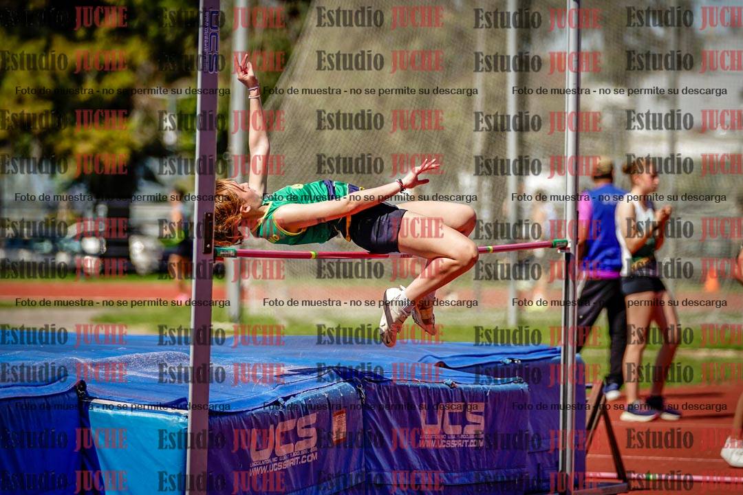Fotos del salto en alto