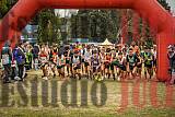 Fotos en de la largada