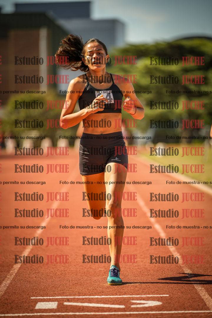 Fotos de los 800 m llanos de mujeres