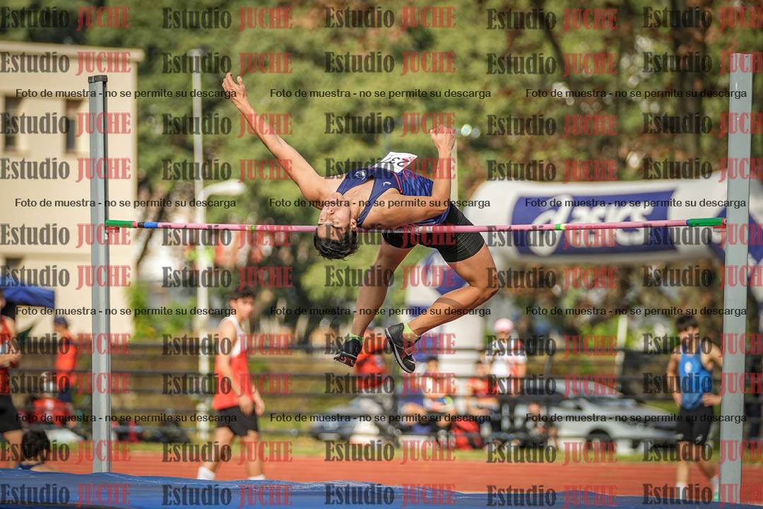 Fotos del salto en alto de varones