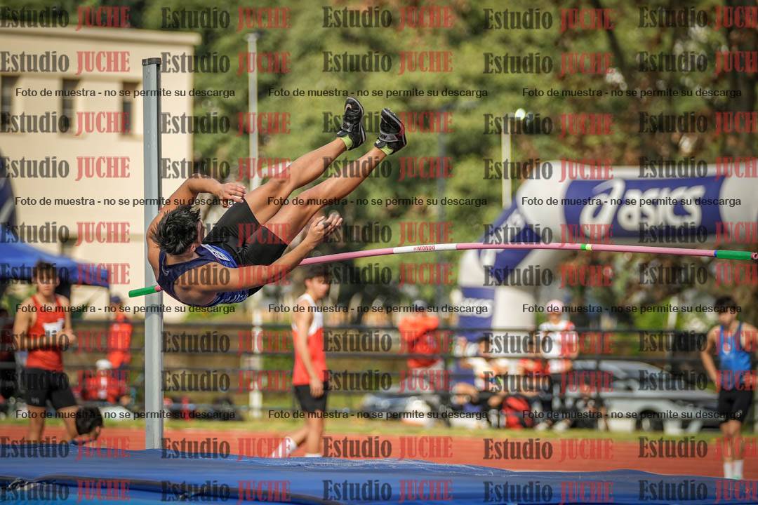 Fotos del salto en alto de varones