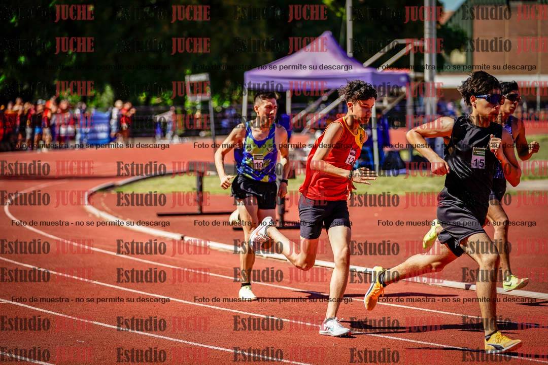 Fotos de los 800 m llanos de varones