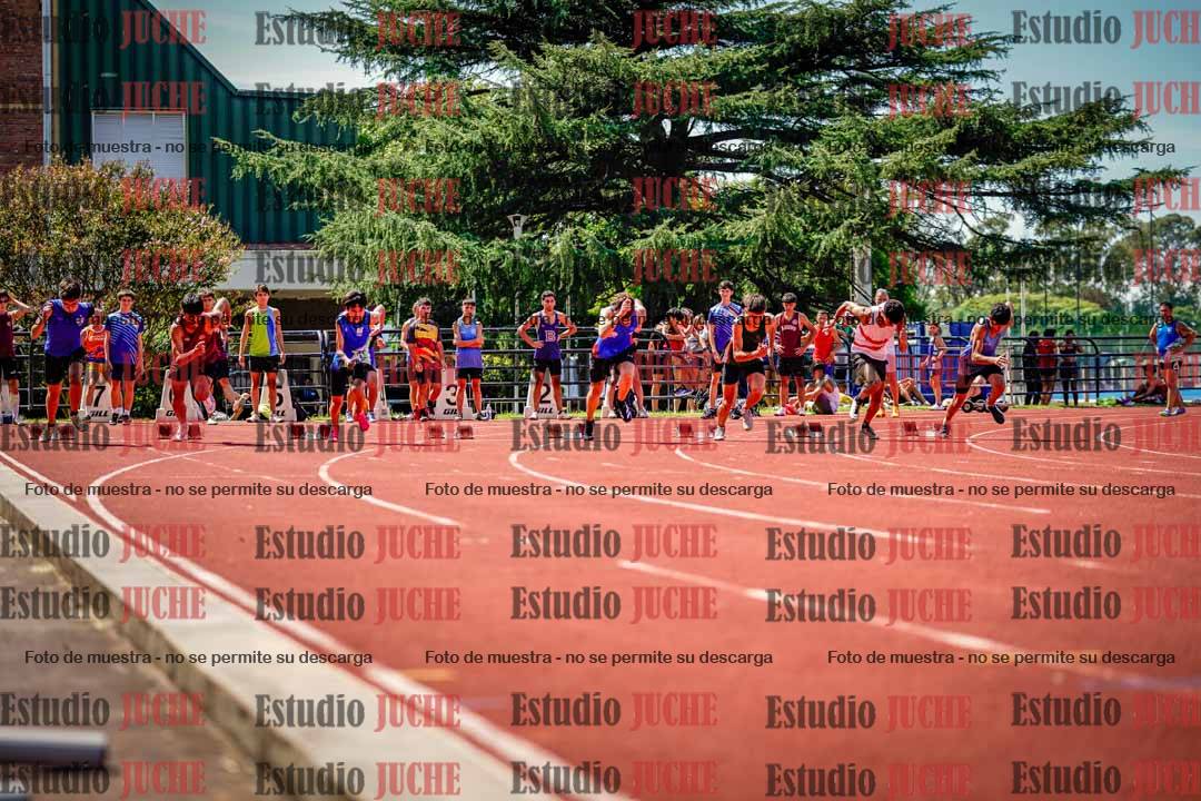 Fotos de los 100 m de varones