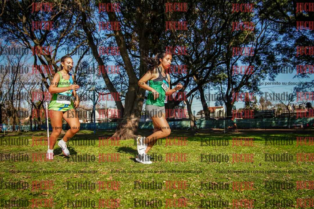 Fotos en el circuito