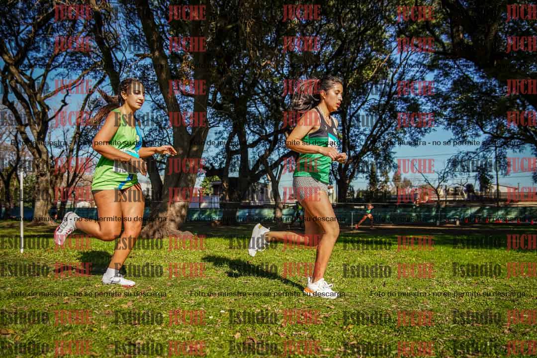 Fotos en el circuito