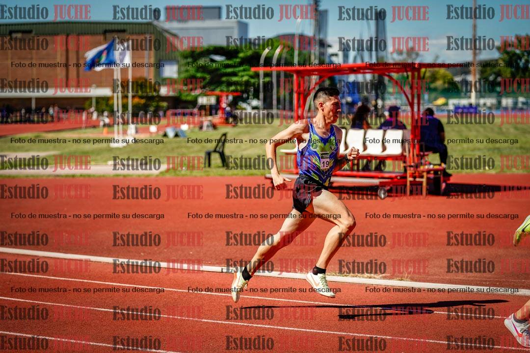 Fotos de los 800 m llanos de varones