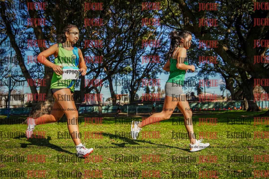 Fotos en el circuito