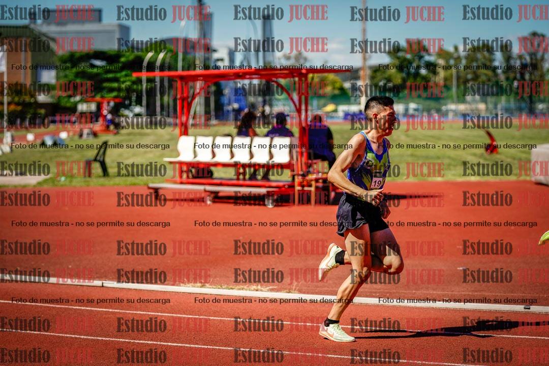 Fotos de los 800 m llanos de varones