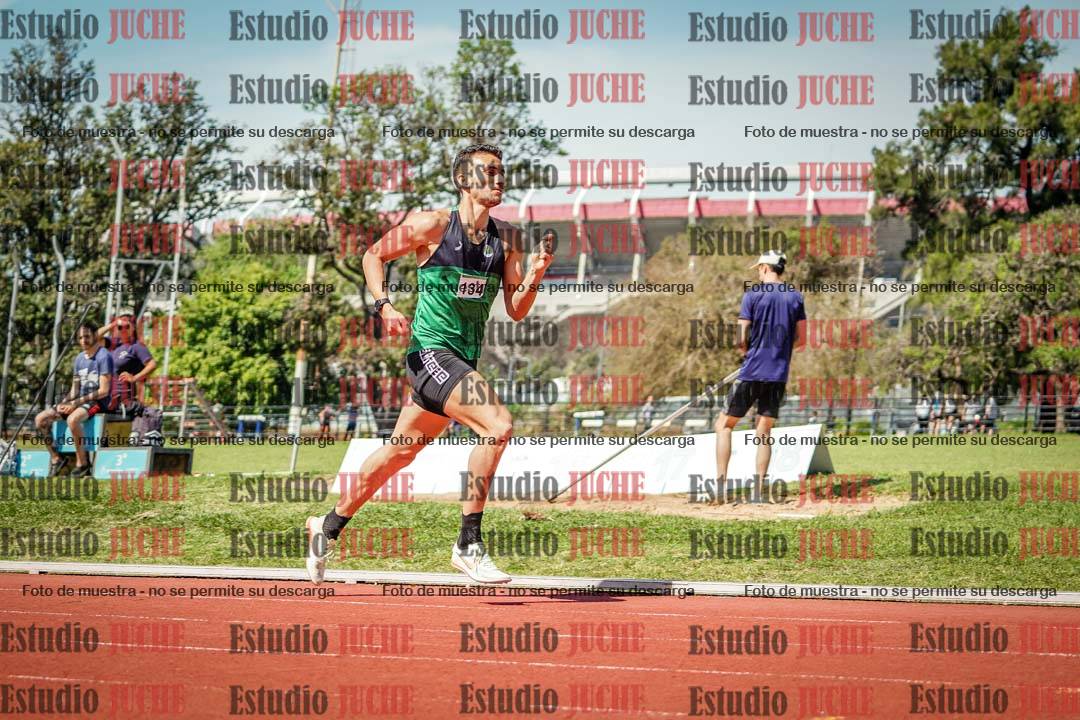 Fotos de los 800 m llanos de varones