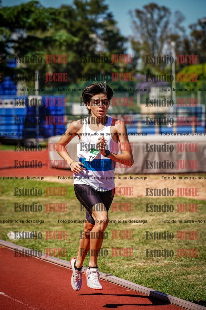Fotos de los 800 m llanos de varones