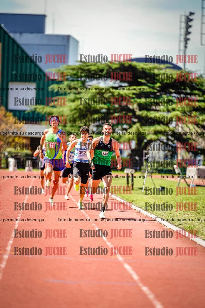 Fotos de los 800 m llanos de varones