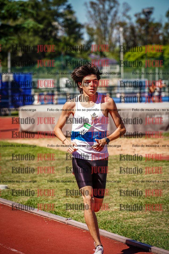Fotos de los 800 m llanos de varones