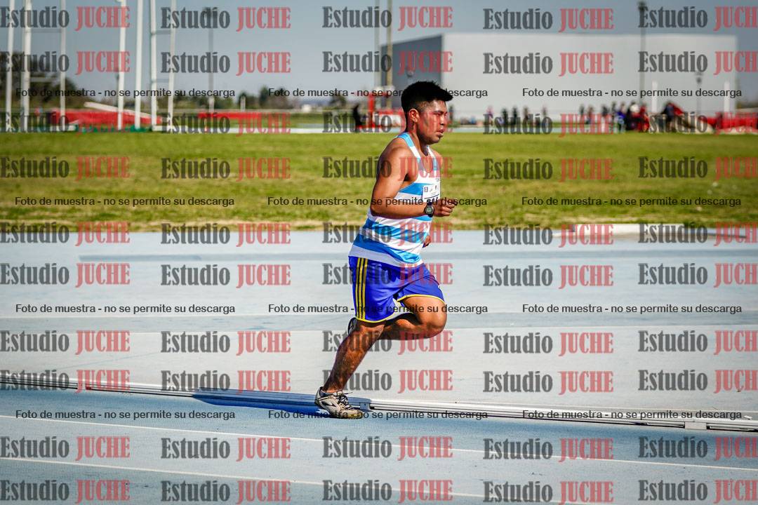 Fotos de los 3000 m llanos de varones