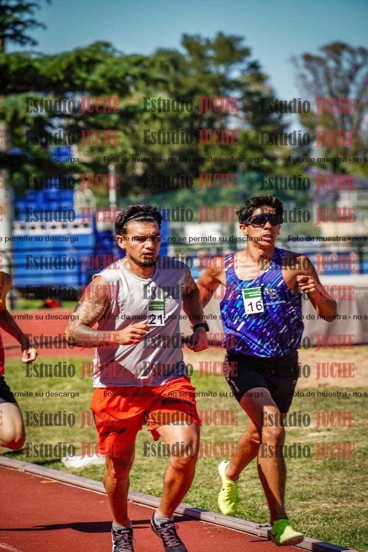 Fotos de los 800 m llanos de varones