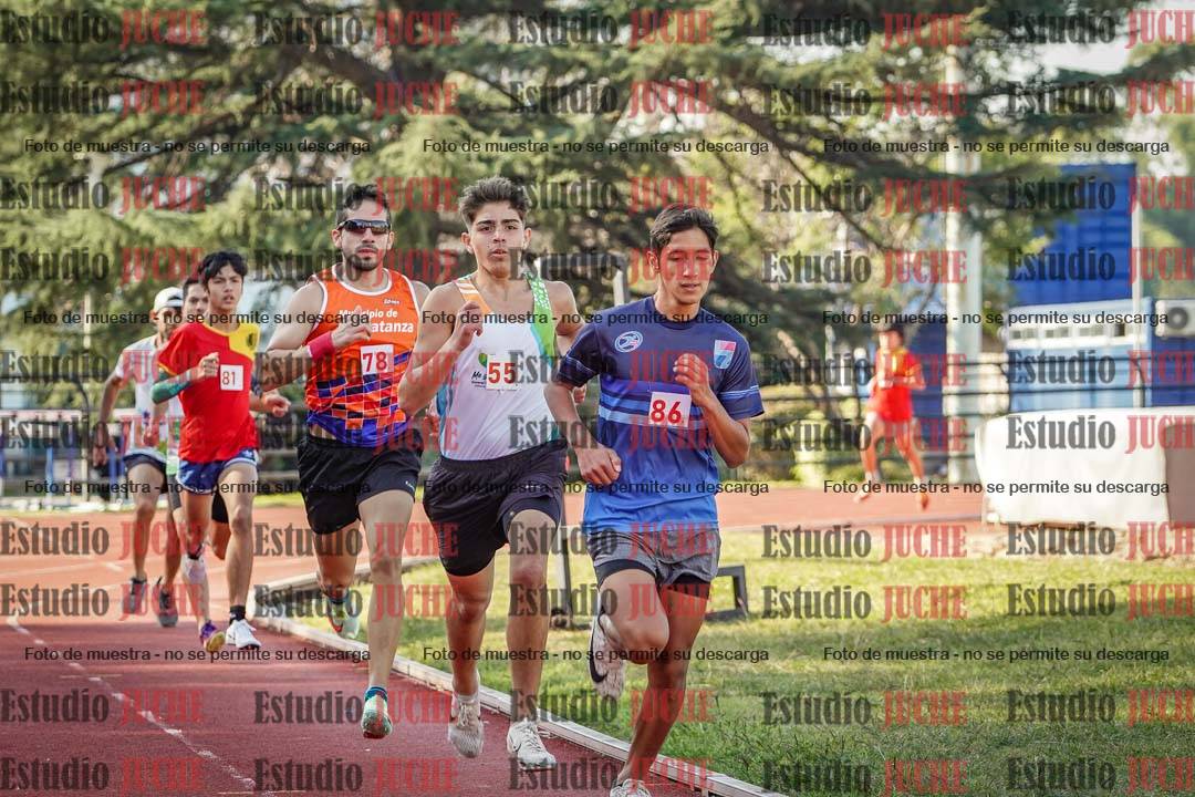 Fotos de los 800 m llanos de varones