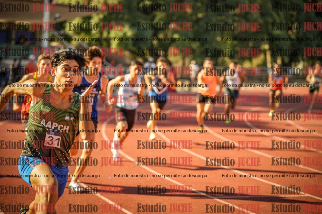 Fotos de los 800 m llanos de varones
