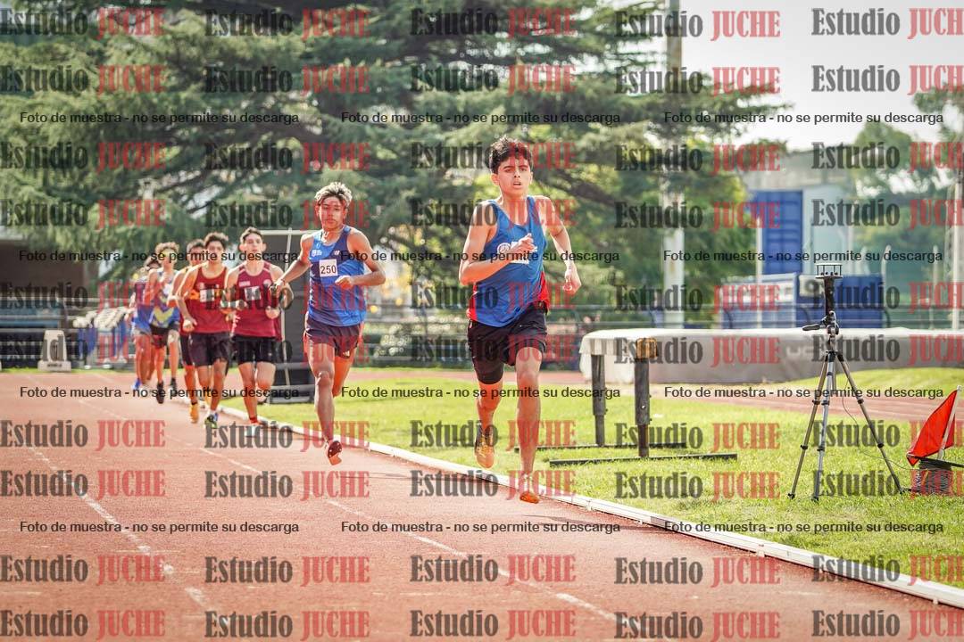Fotos de los 800 m llanos de varones