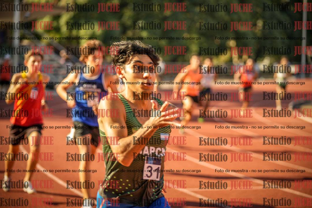 Fotos de los 800 m llanos de varones