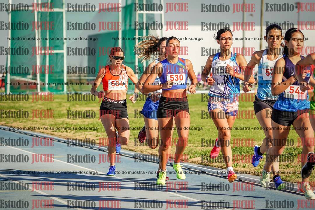 Fotos de los 1500 m llanos de mujeres