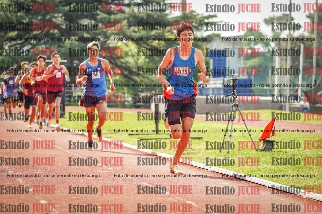 Fotos de los 800 m llanos de varones