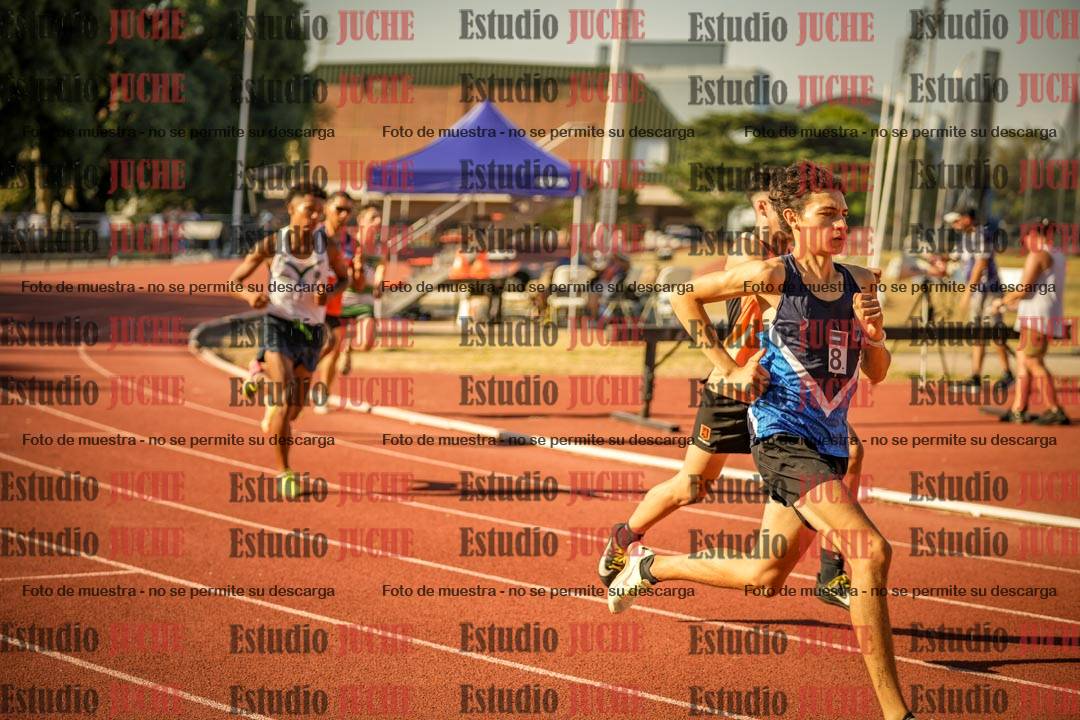 Fotos de los 800 m llanos de varones