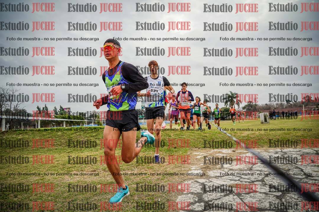 Fotos en el circuito
