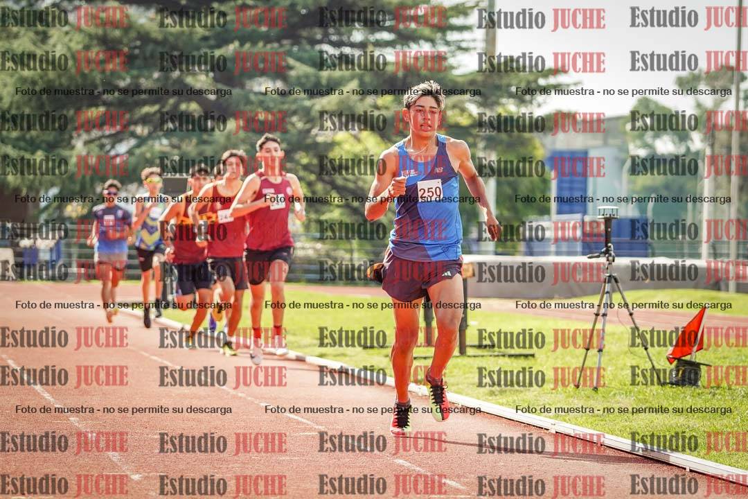Fotos de los 800 m llanos de varones